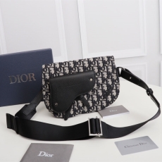 Christian Dior Waist Chest Packs